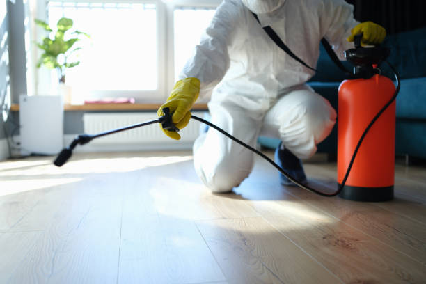 Reliable Biohazard contractor in Hillsboro, IL by Trauma Clean Pros